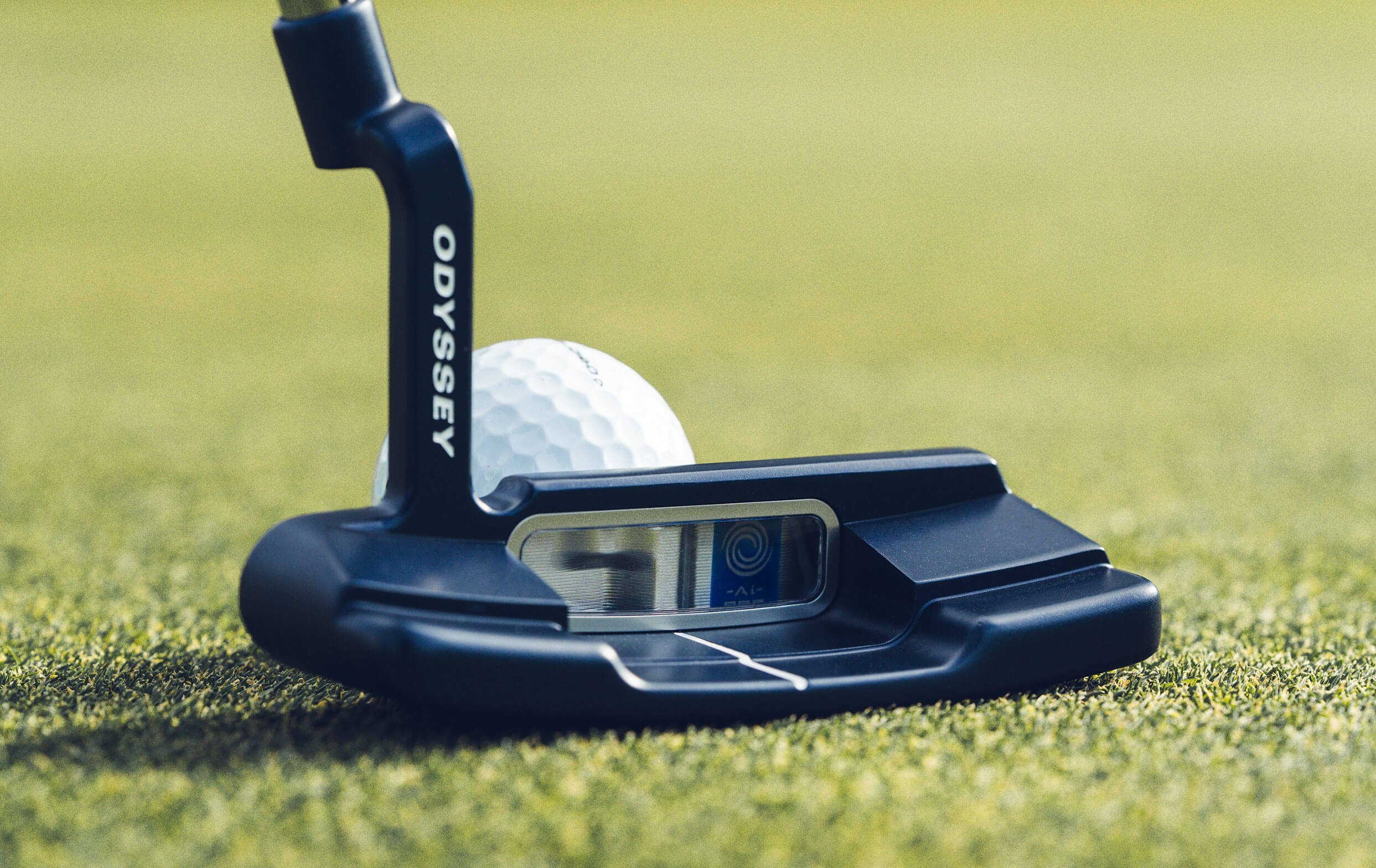putters-2024-ai-one-cruiser-double-wide-ch___lifestyle-4